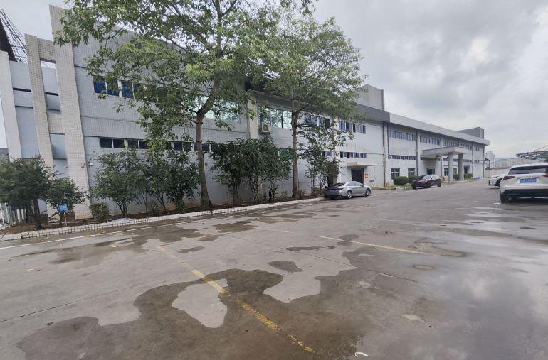 本地房东，大岭山杨屋一楼厂房出租，1000平起分租，层高6米