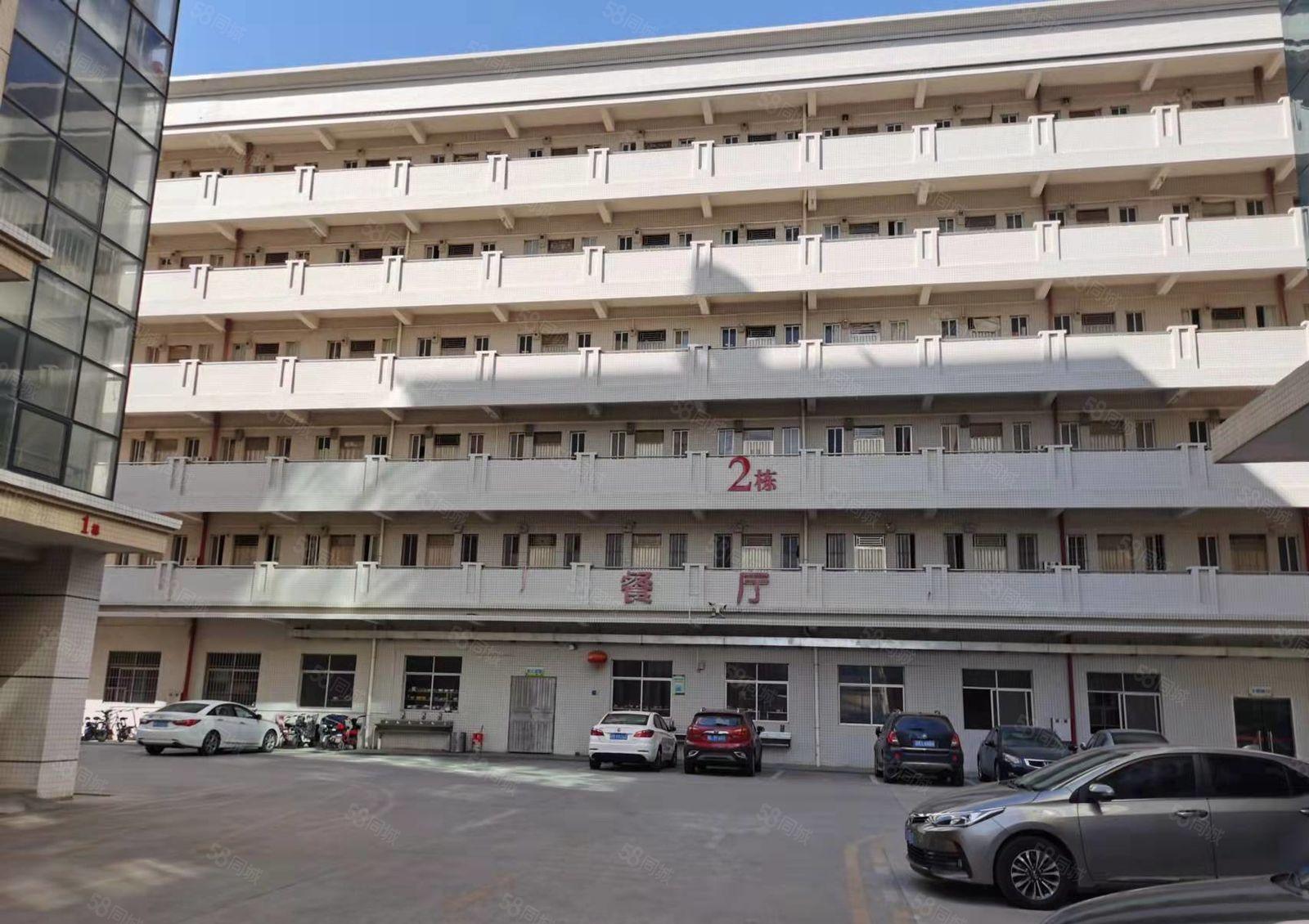 大岭山杨屋G107旁新出一楼2000平厂房出租现成装修带牛角