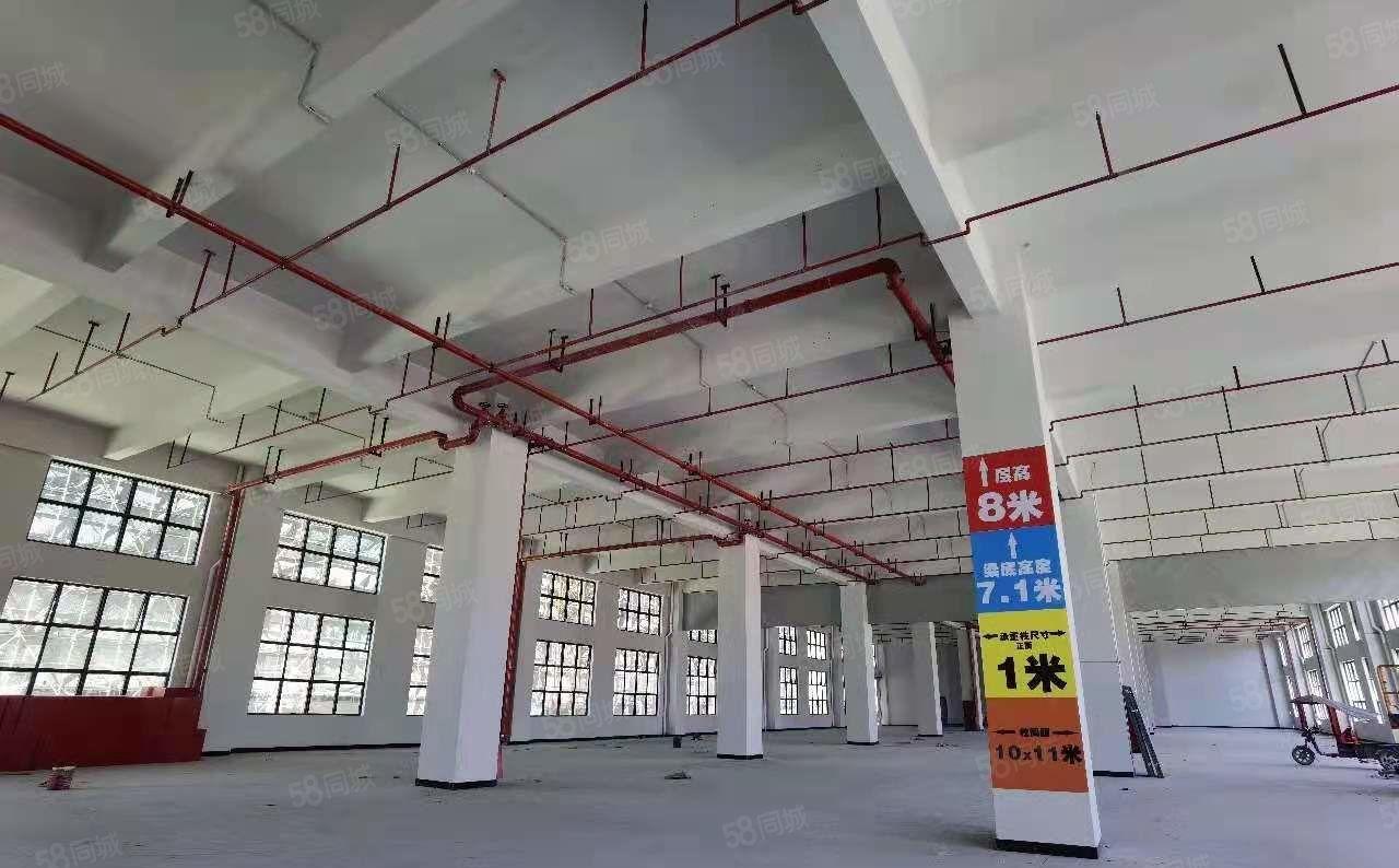 大岭山杨屋原房东全新厂房整栋每层3000平方厂房出租！