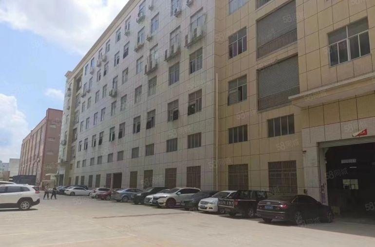 大岭山1300平本地房东红本标准三楼精装修厂房实际面积出租