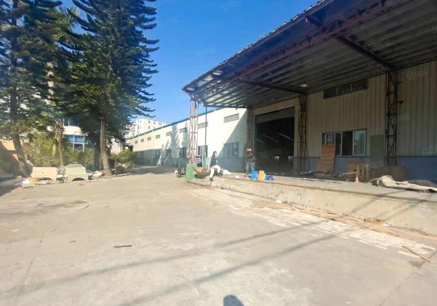 可办环坪107国道旁新出独院单一层2800平钢构厂房出租