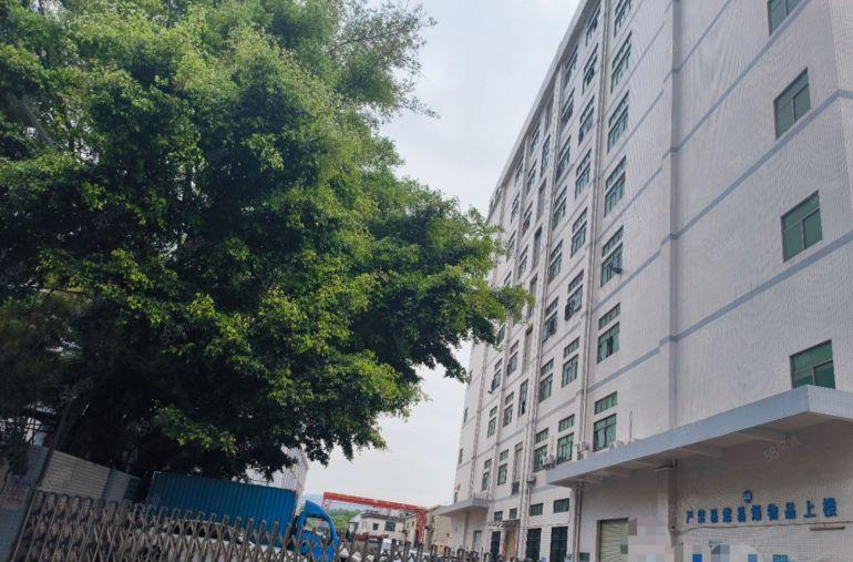 小企业福音 杨屋村空出标准2楼800平方低价厂房出租带精装修