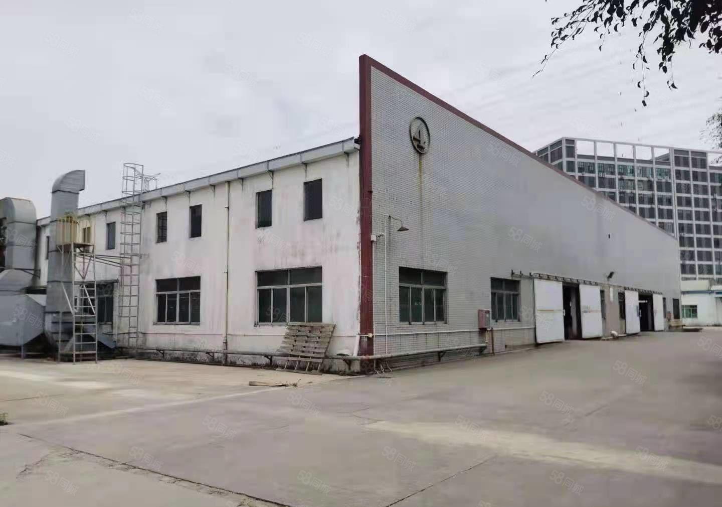 大岭山石大路新出独门独院4000平方厂房招商7米高空地大