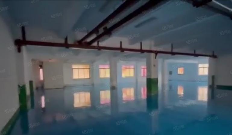 大岭山镇向东村园区厂房