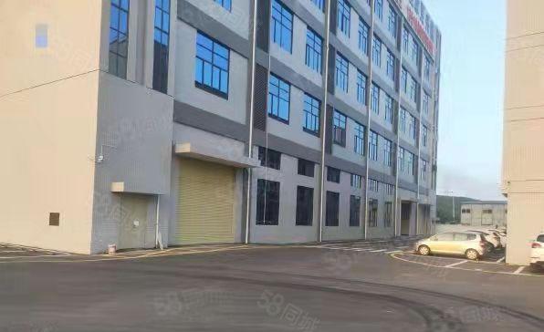 带牛角位 工业用地 大岭山镇新出标准1楼1000平方厂房分租