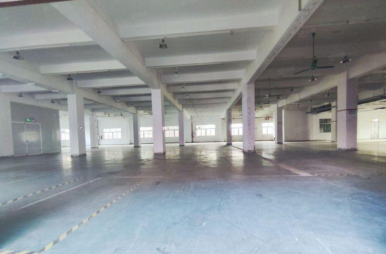 大岭山原房东新出精装修一楼标准厂房，带现成办公室，水电齐全