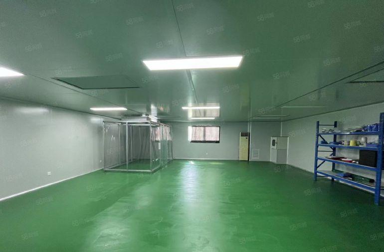 无尘车间 大岭山镇杨屋村空出楼上350平方厂房出租 水电齐全