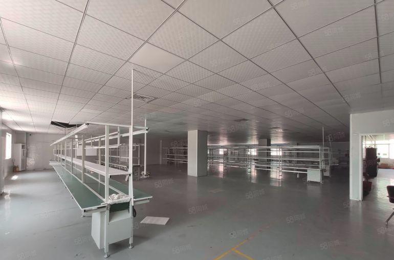 大岭山杨屋二楼2000平全新精装修工业厂房出租