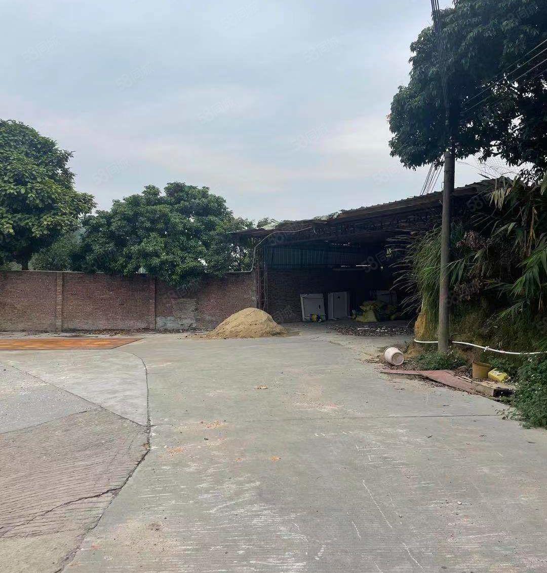 捡漏一楼8块独院 大岭山镇原房东出租铁皮空地2500平可分