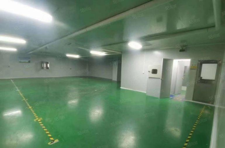 大岭山杨屋工业区，无尘车间厂房出租 超低价 带装修 可办环评
