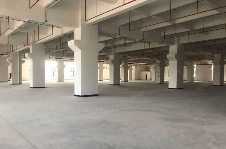 大岭山全新重工业厂房 一手房东实际面积空地超大交通便利好招工