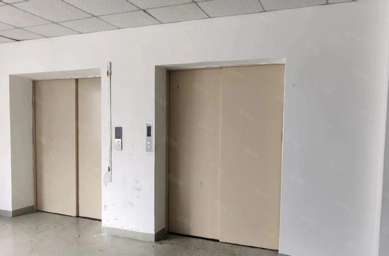 大岭山杨屋工业园区厂房出租 超低价 精装修 现成洁净车间