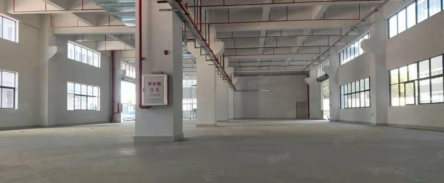 大岭山镇新出二楼厂房，层高6米承重1.5吨工业用地可以办环评