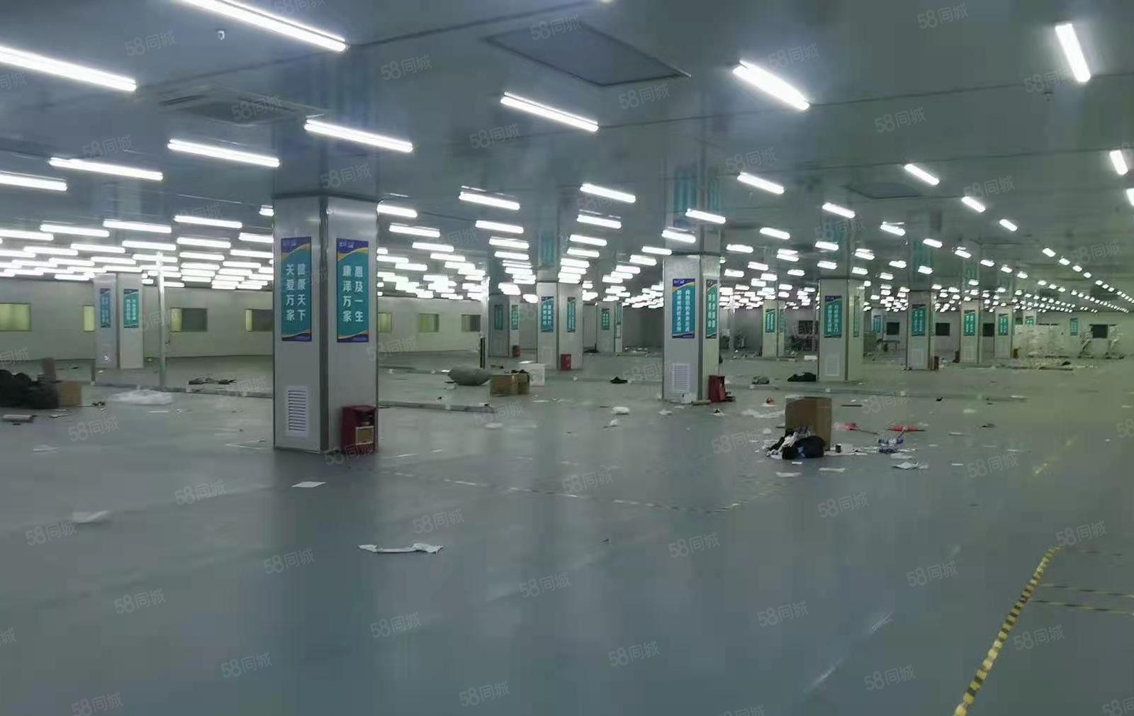 大岭山石大路花园式厂房90000平，可办环评，实际面积出租