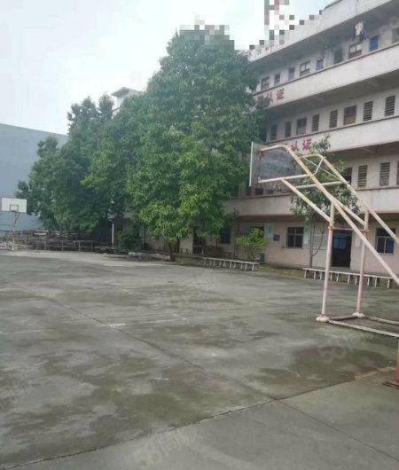 可办环坪 大沙村工业园区单一层3000平钢构厂房分租电量充足