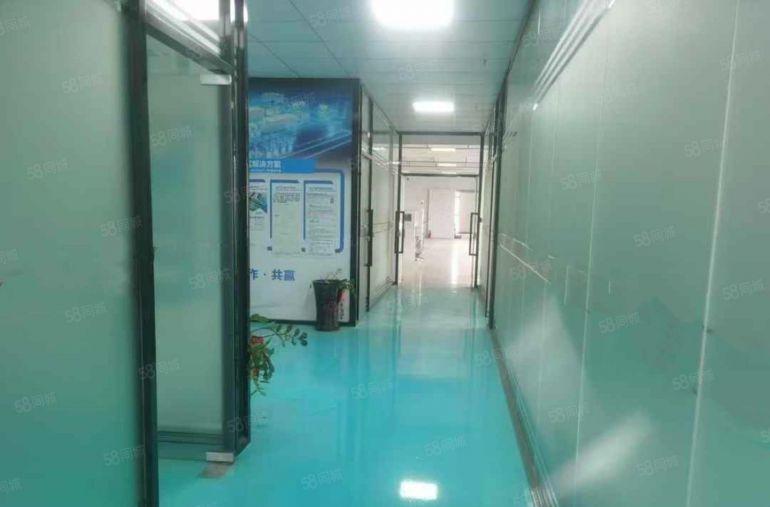 大岭山全新精装修厂房出租低价仓库出租可办公研发仓储生产