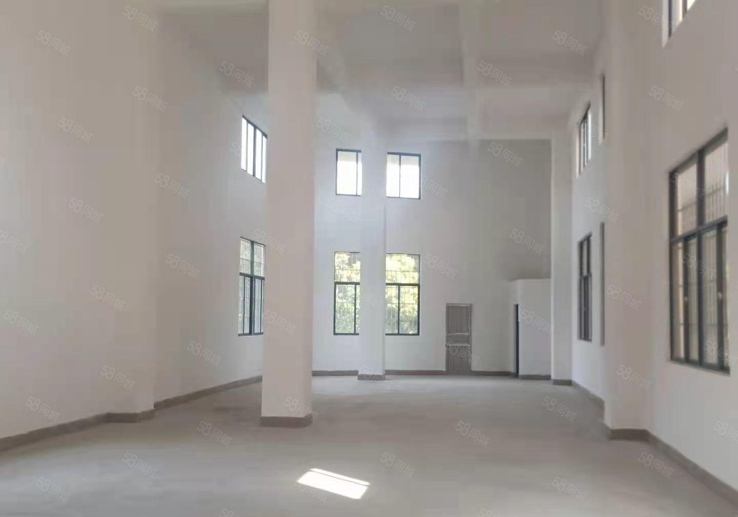 无公摊大岭山金桔原房东新建独栋标准厂房4层1000平厂房出租