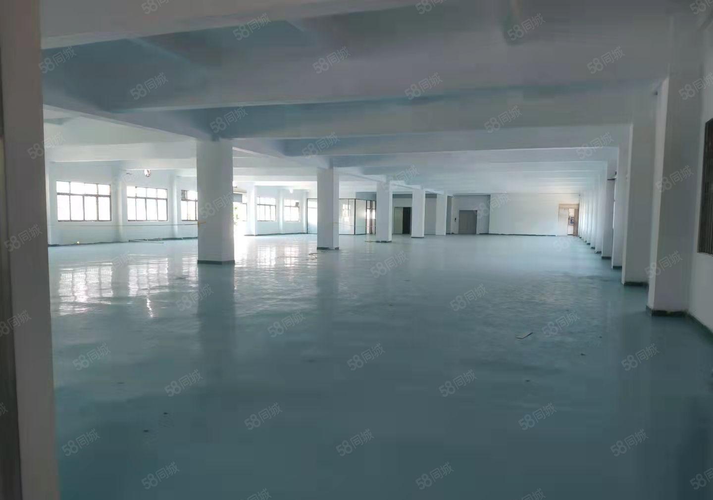 杨屋工业区空出楼上2000平现成办公室装修厂房出租