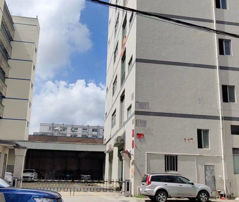 大岭山杨屋工业园区厂房出租 超低价 精装修 现成洁净车间