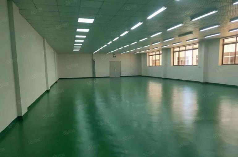 大岭山杨屋高速口靠深圳长安 小面积厂房出租 带精装修超低价