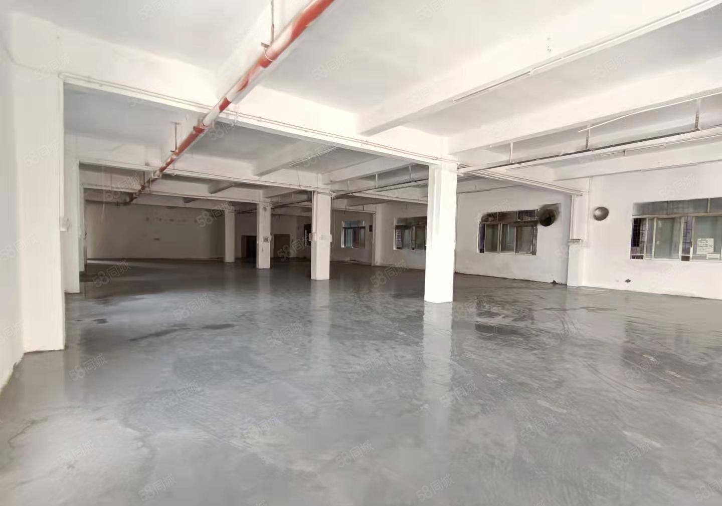 大岭山6000平独门独院厂房出租，全新精装修，仓库出租