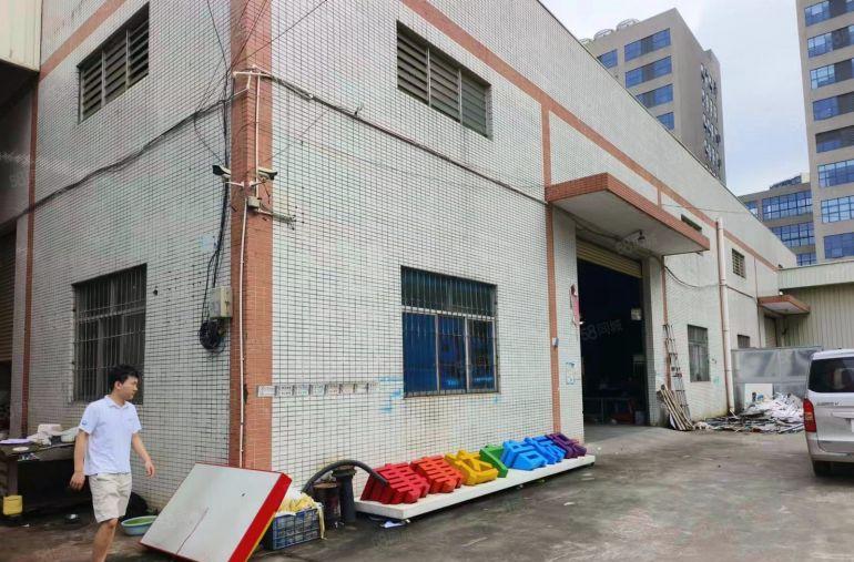 大岭山金桔石大路原房东2600平方砖墙到顶钢结构厂房出租