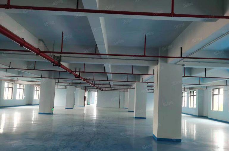 靠深圳，大岭山重工业带全新地坪漆厂房分租，三楼1500平方