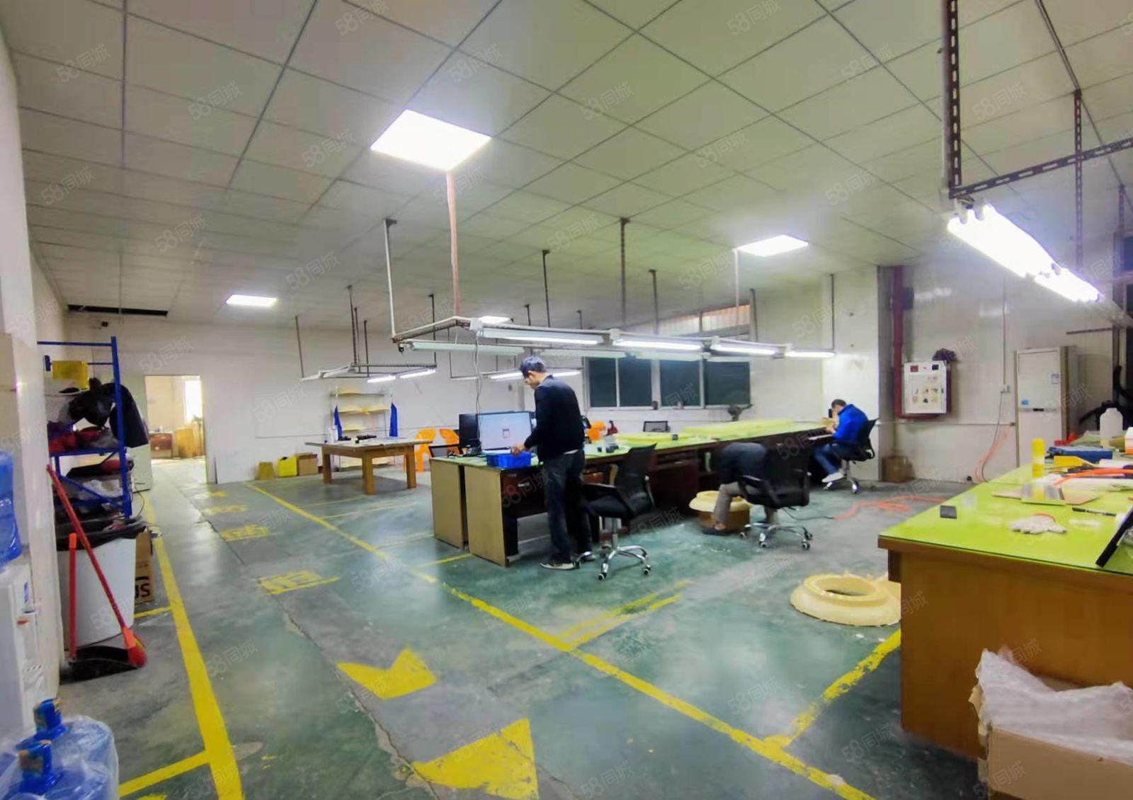 可办环评大岭山新出标准厂房一楼1000平精装修