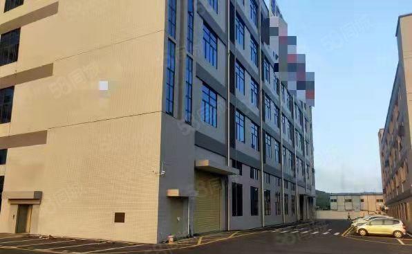 带牛角位 工业用地 大岭山镇新出标准1楼1000平方厂房分租