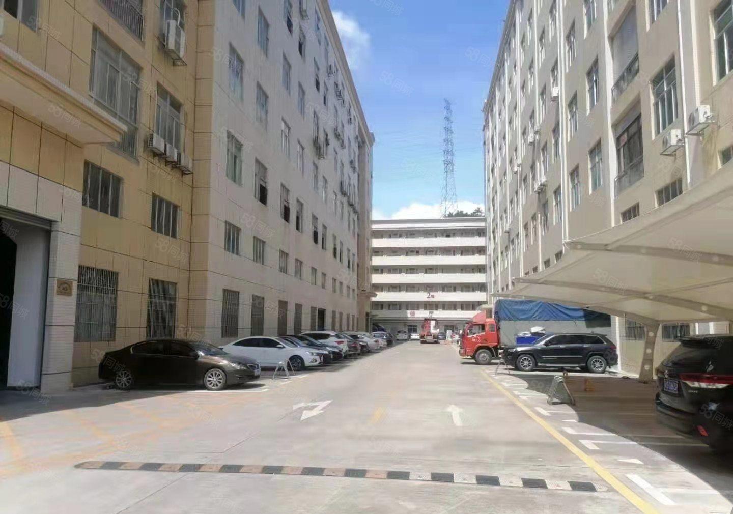 大岭山杨屋工业区新出一楼800平方，带行车7米高水电到位