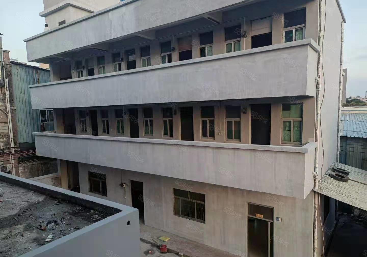 大岭山镇新出原房东独门独院标准4200平方厂房出租 可过环坪