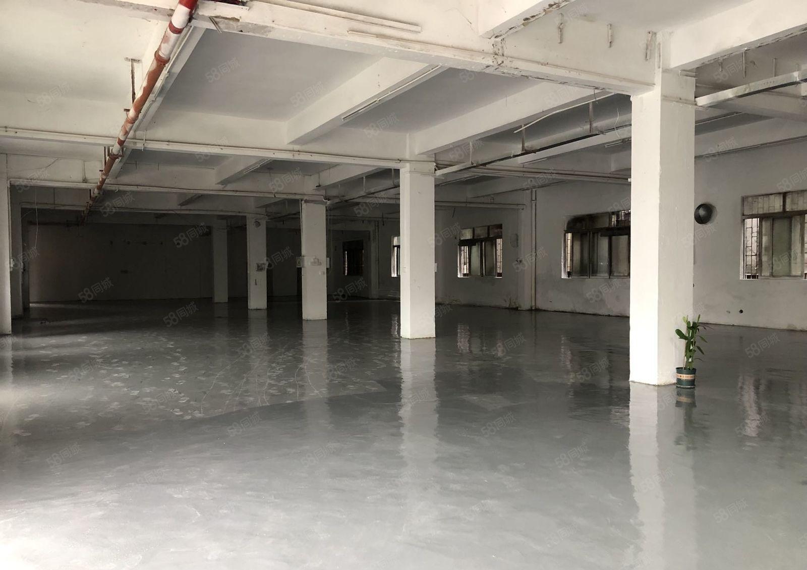 大岭山6000平独门独院厂房出租，全新精装修，仓库出租