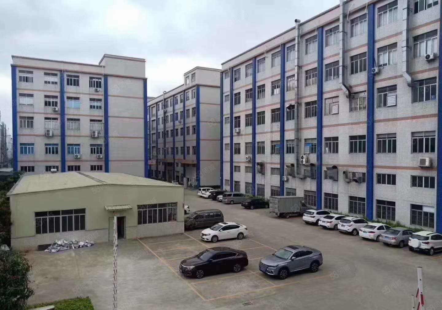 大岭山新出工业园楼上1750厂房出租，可大小分租，租金优惠