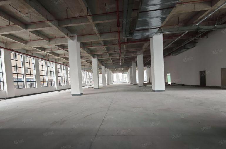 大岭山原房东独门独院26000平方，证件齐全，全新厂房