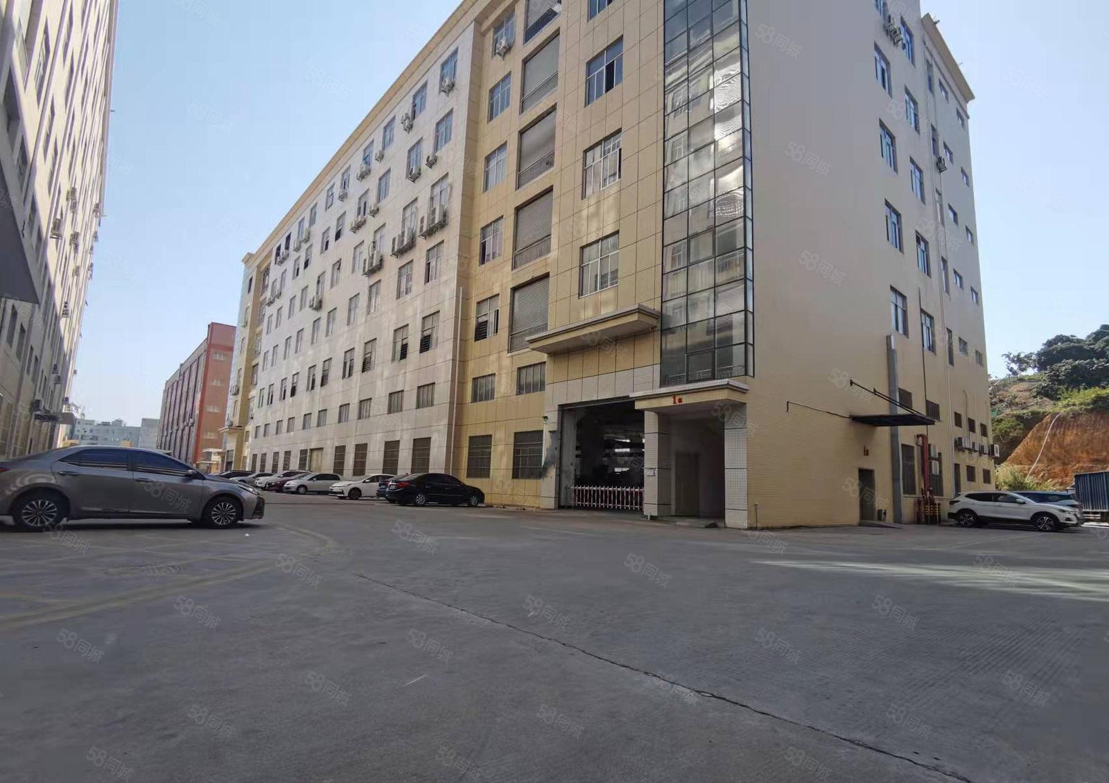 大岭山杨屋G107旁新出一楼2000平厂房出租现成装修带牛角