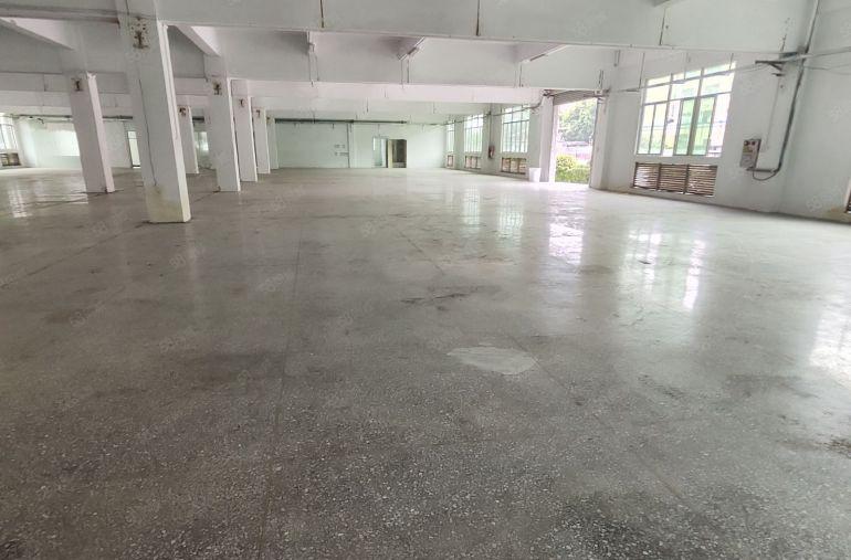 大岭山镇杨屋独门独院厂房出租，超大空地，高速近，零公摊易招工