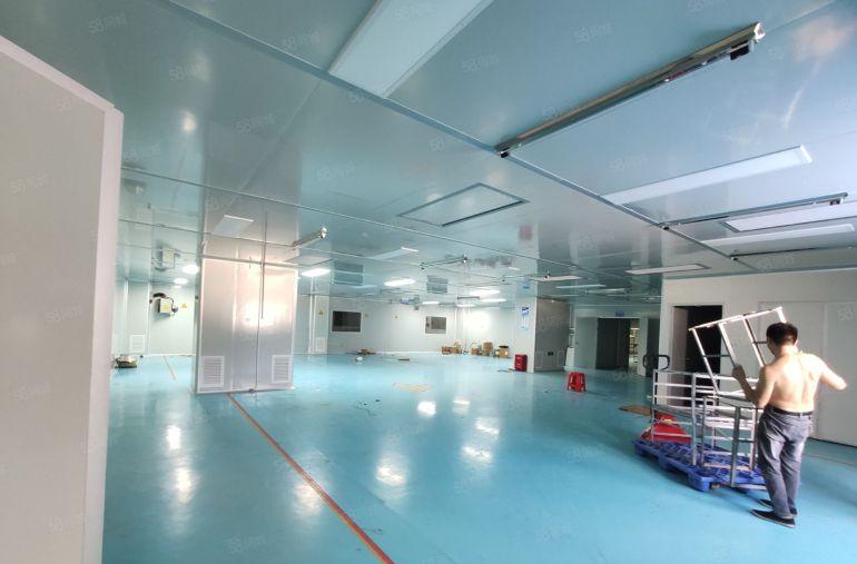 大岭山杨屋新空出三楼1800平洁净车间工业厂房出租