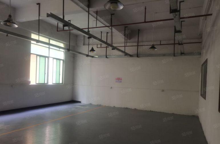 大岭山1300平本地房东红本标准三楼精装修厂房实际面积出租