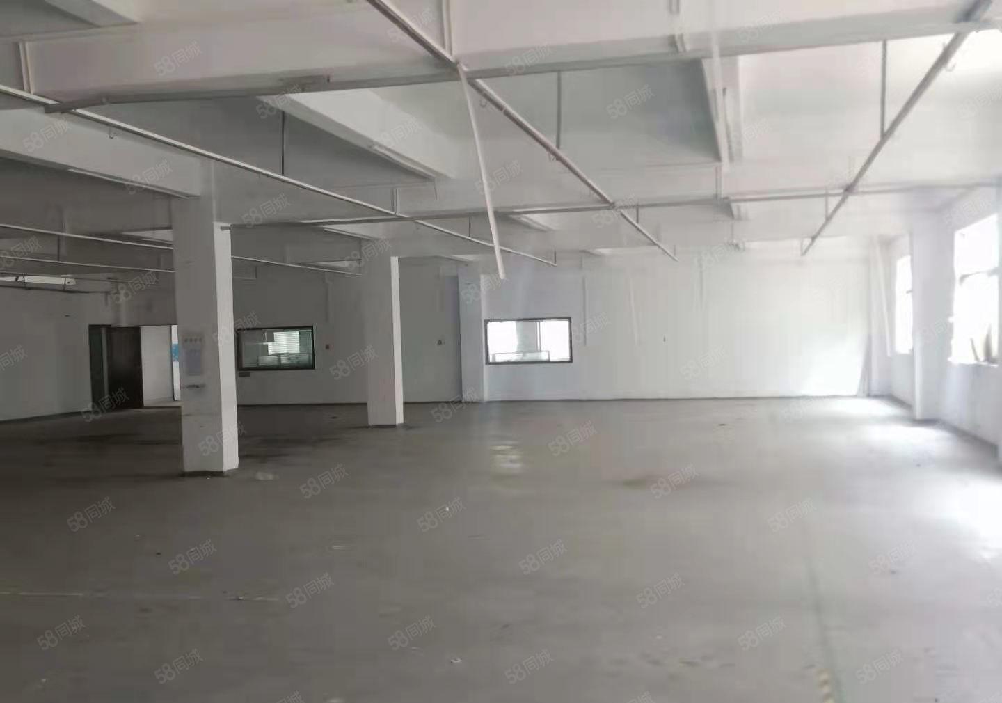 原房东 金桔村新出小独院楼上1200平厂房出租 带宿舍办公室