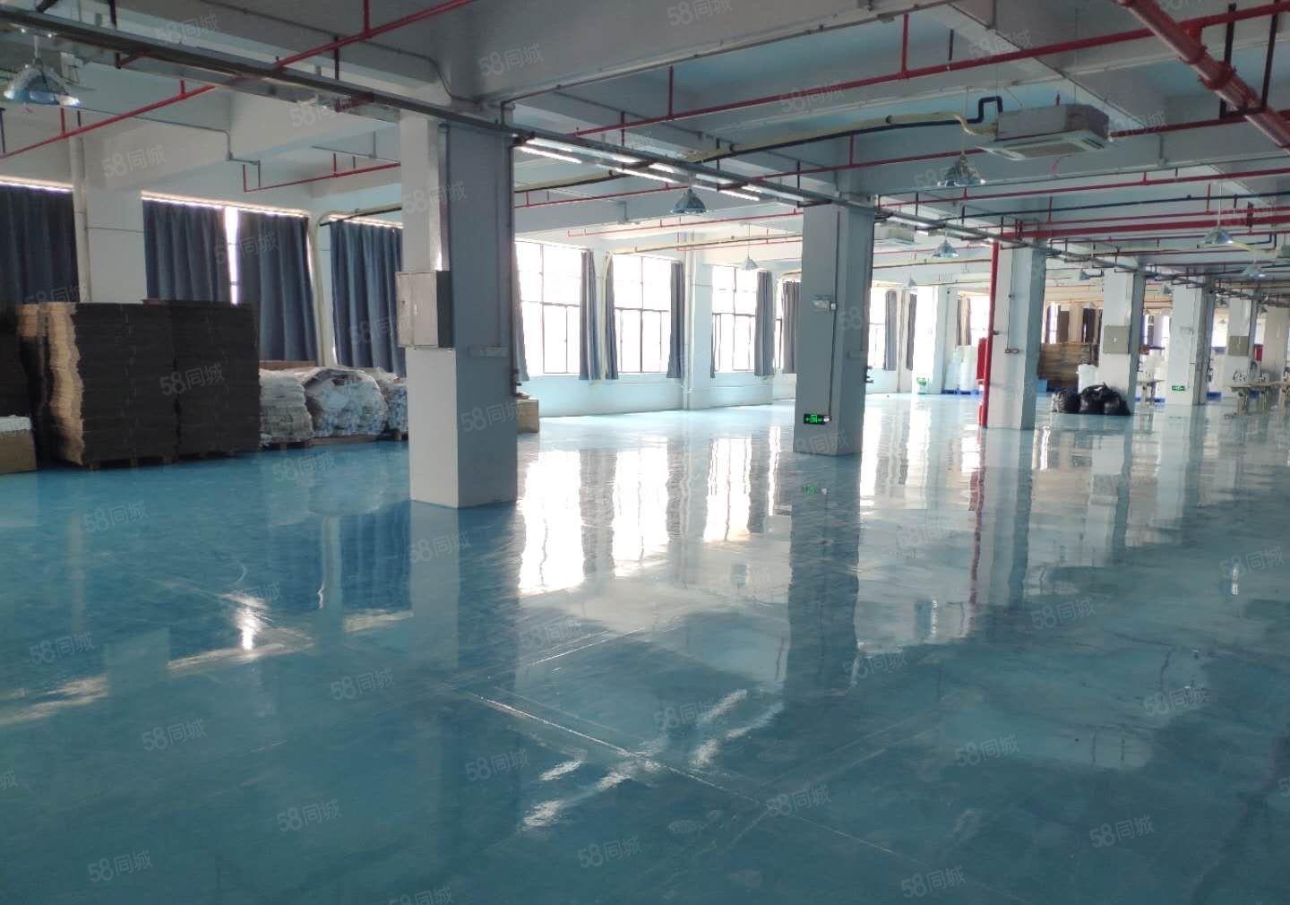 大岭山新出原房东2580平方精装修厂房