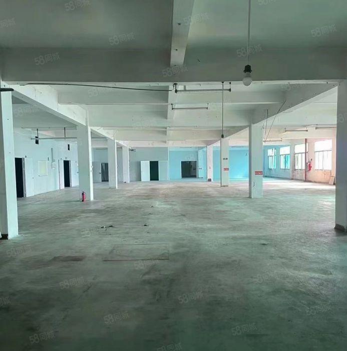 大岭山靠高速路口新出独院标准厂房水电齐全，特价出租13.8块
