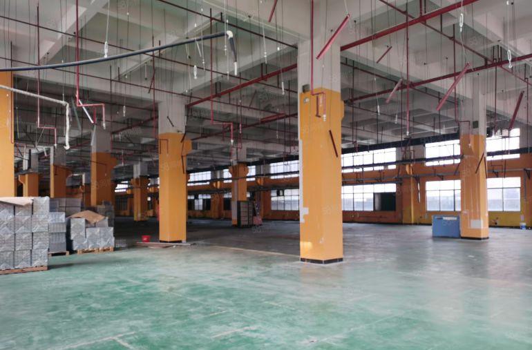 大岭山厂房出租 一楼一千平方米起租 独院厂房出租 原房东