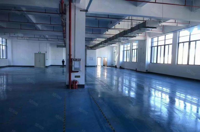 大岭山镇大塘村精装修办公楼厂房