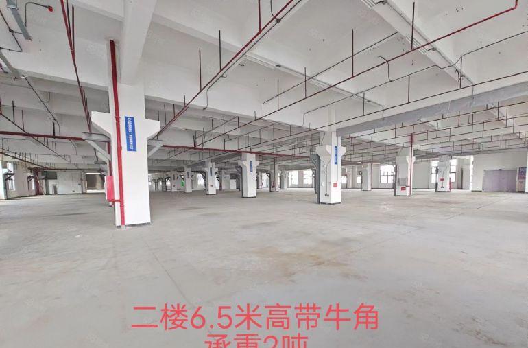 大岭山石大路边国有红本单层面积六千方大小可分一楼高度9.2米