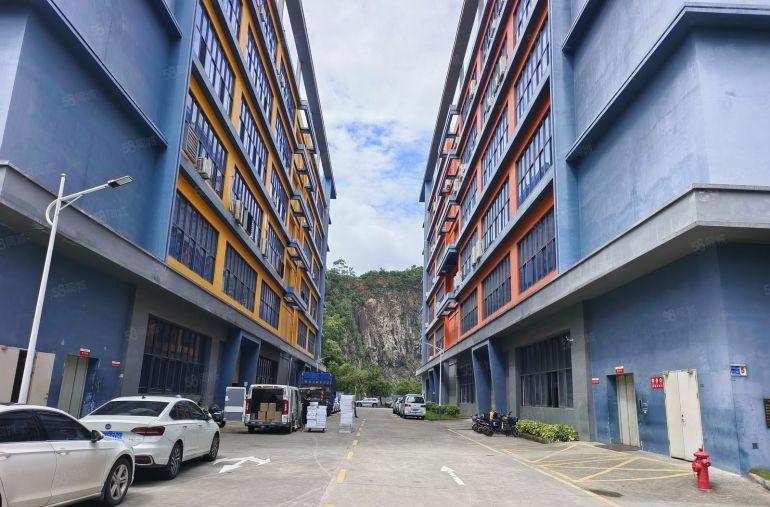 带精装修 大岭山大塘村原房东高新产业园空出楼上标准厂房出租