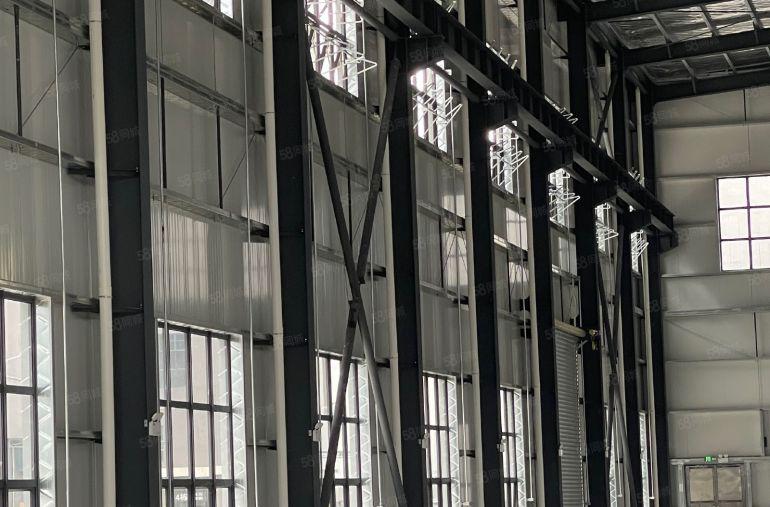 大岭山原房东全新钢构厂房高度15米牛角10米