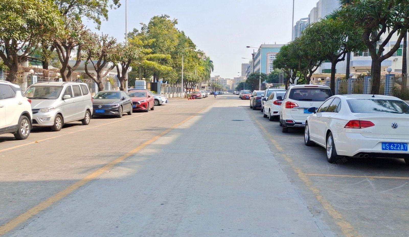 大岭山新出园区靓厂房 大车进出便利 可分租 适合电子小型加工