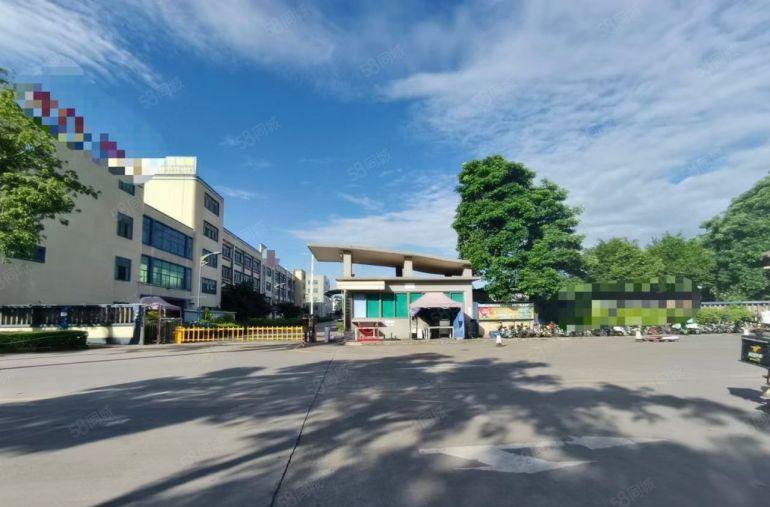 大岭山独院台湾房东花园式厂房空车位充足发财宝地大小可分租