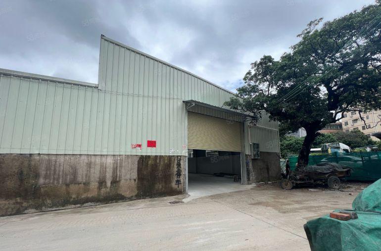 大岭山镇小独院单一层实际面积400平原房东直租新建厂房