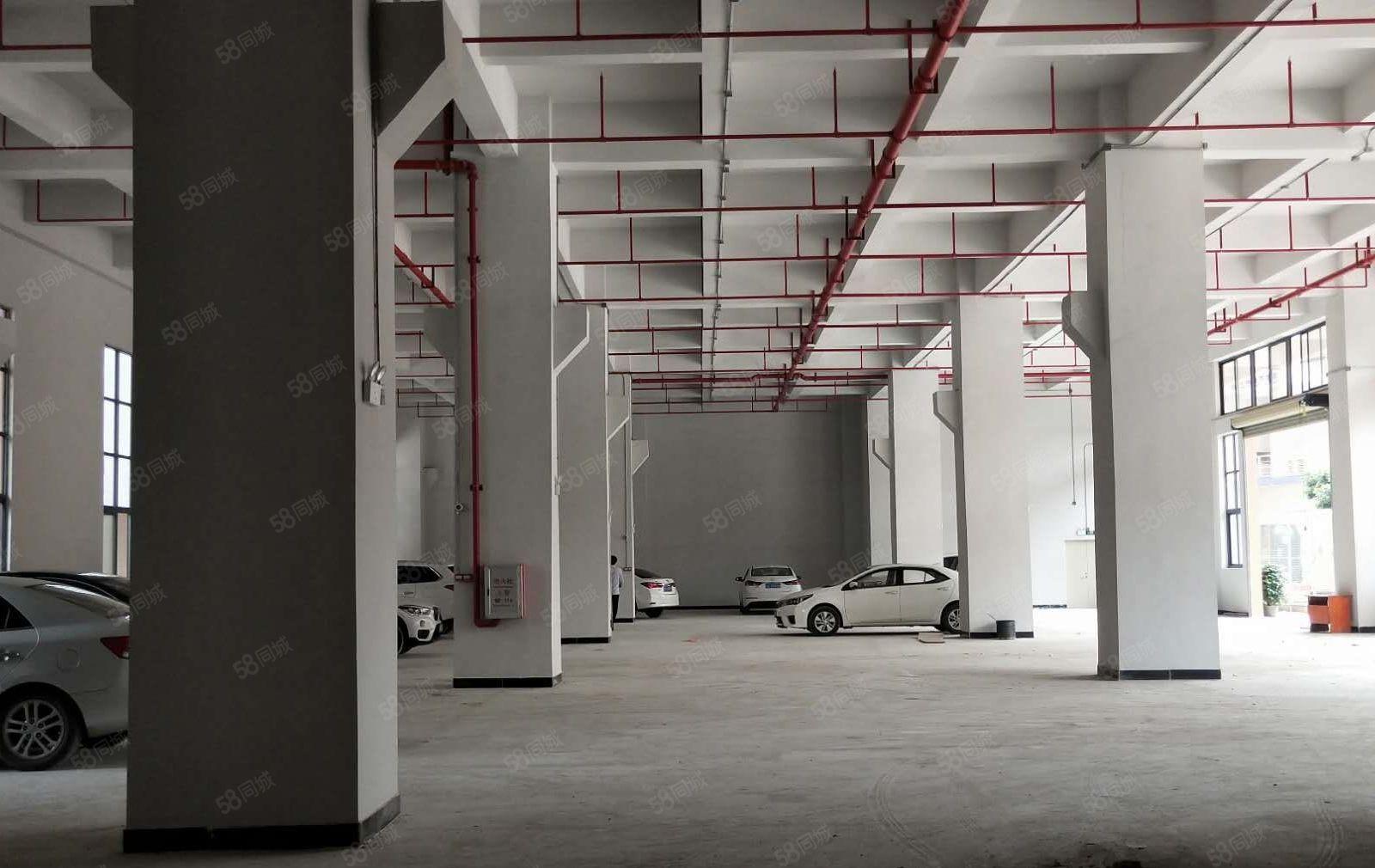 大岭山标准厂房一楼1200平方，重工业厂房，水电齐全，空地大